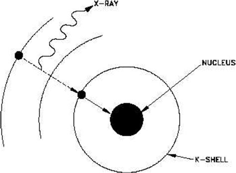 k electron|k electron capture.